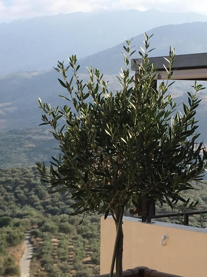 Marjoram - Morfi Village Exopoli Exterior photo